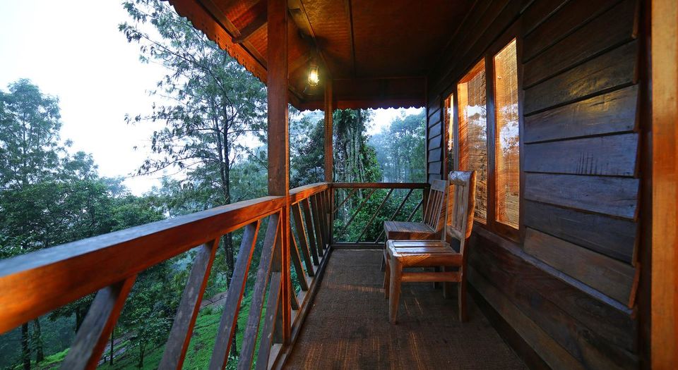 Photo of Munnar, Kerala, India by Palak Doshi
