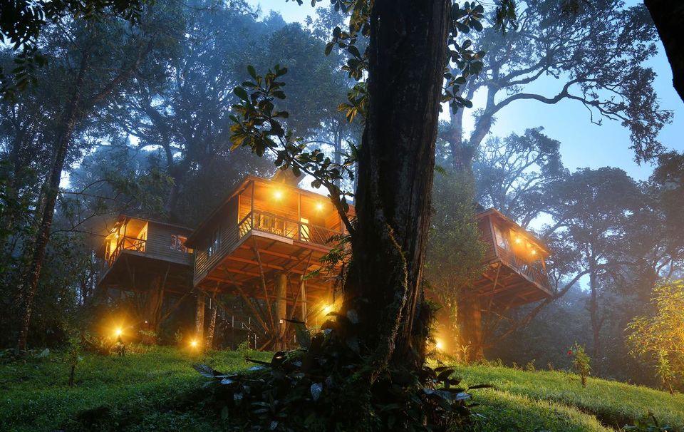 Photo of Munnar, Kerala, India by Palak Doshi
