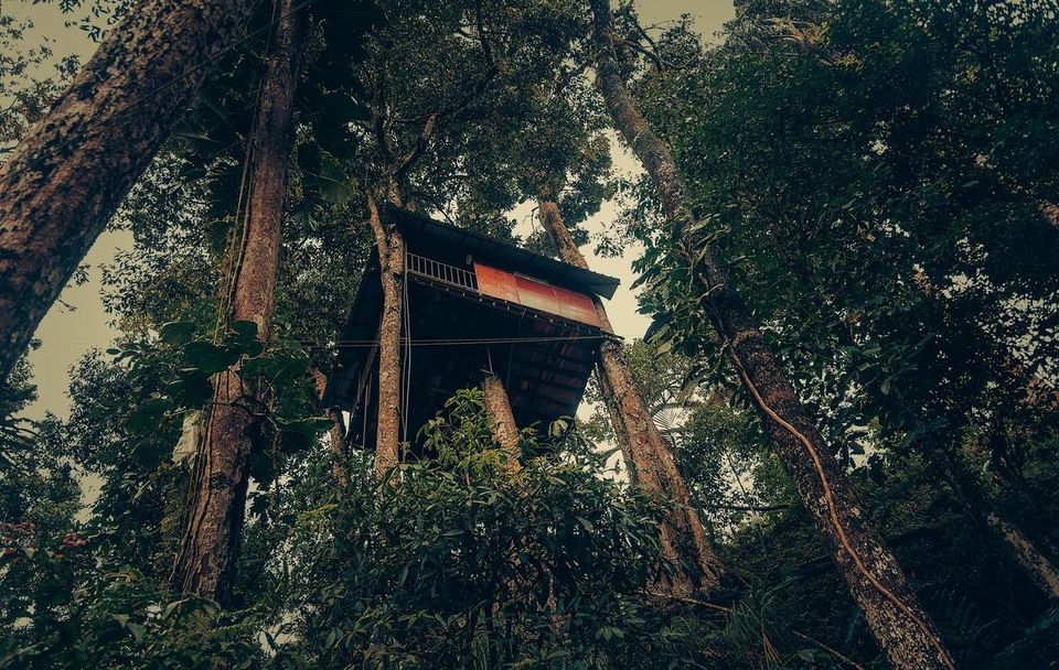 Photo of Can't Afford Bali? Stay At These Tree-Houses In Kerala For The Same Vibes! by Palak Doshi