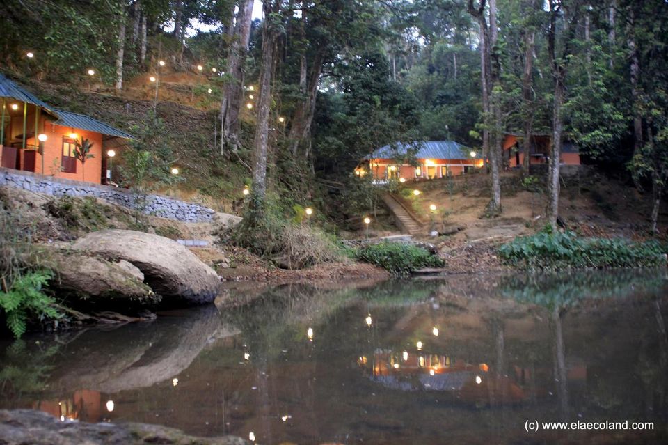 Photo of Can't Afford Bali? Stay At These Tree-Houses In Kerala For The Same Vibes! by Palak Doshi