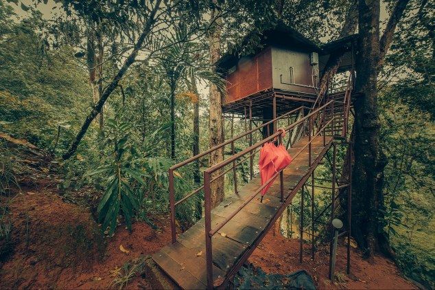 Photo of Can't Afford Bali? Stay At These Tree-Houses In Kerala For The Same Vibes! by Palak Doshi