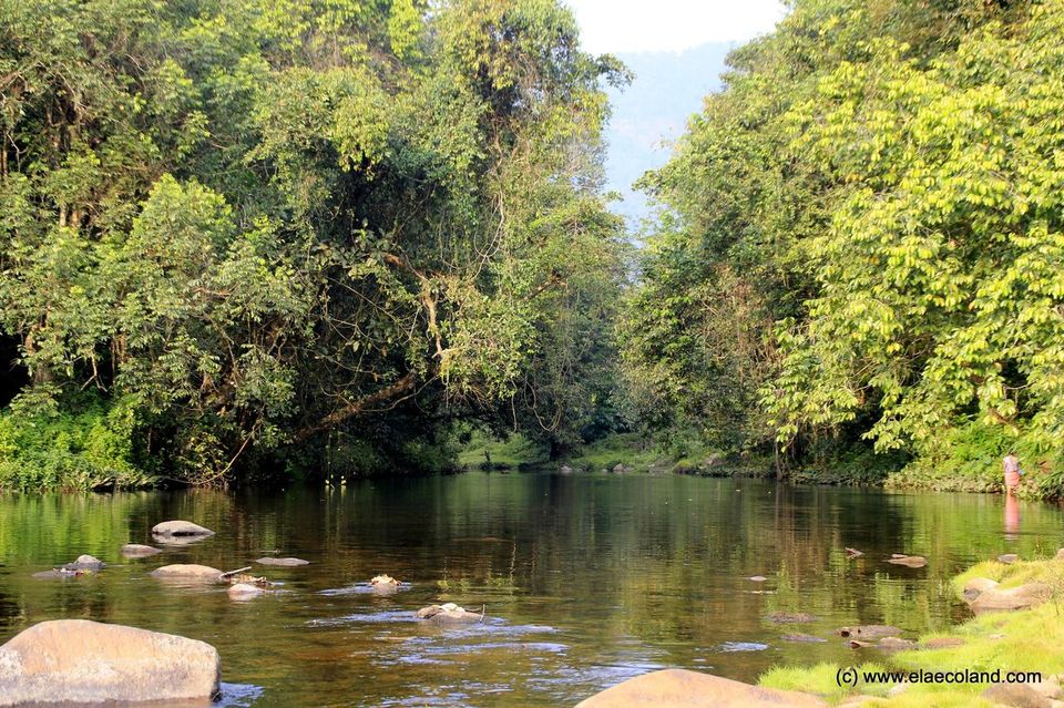 Photo of Can't Afford Bali? Stay At These Tree-Houses In Kerala For The Same Vibes! by Palak Doshi