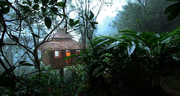 Photo of Thekkady, Kerala, India by Palak Doshi