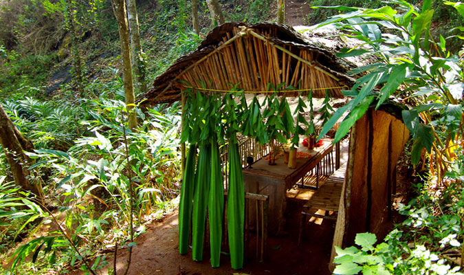 Photo of Can't Afford Bali? Stay At These Tree-Houses In Kerala For The Same Vibes! by Palak Doshi