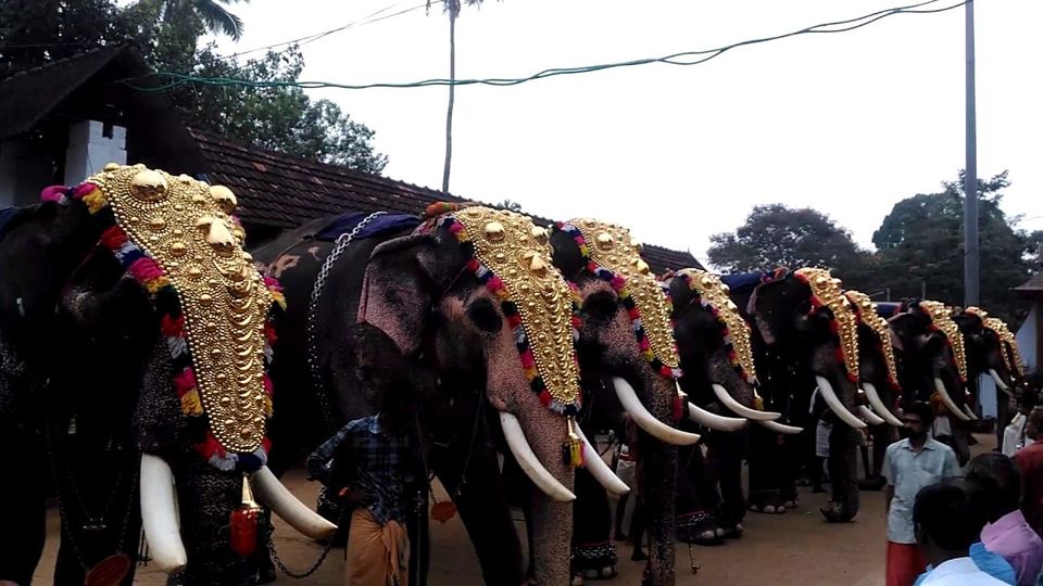 Photo of 7 Temple Festivals In Kerala That Are A Cultural Extravaganza For Every Traveller. by Palak Doshi