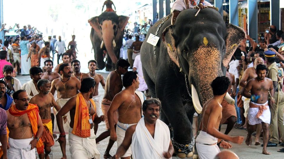 Photo of Guruvayur Temple, Guruvayur Devaswom, East Nada, Guruvayur, Kerala, India by Palak Doshi