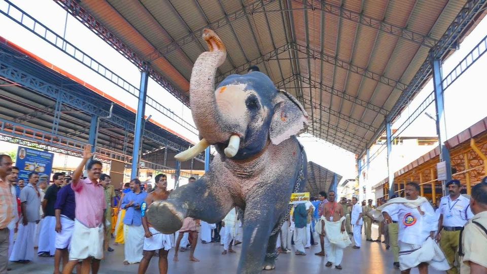 Photo of Guruvayur Temple, Guruvayur Devaswom, East Nada, Guruvayur, Kerala, India by Palak Doshi