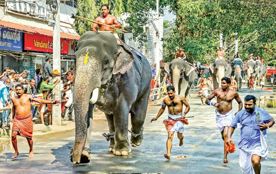 Photo of 7 Temple Festivals In Kerala That Are A Cultural Extravaganza For Every Traveller. by Palak Doshi