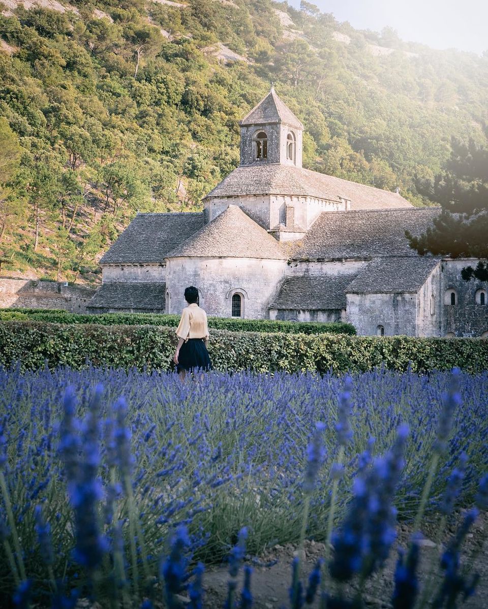 Photo of My Lavender Trail In France by Palak Doshi