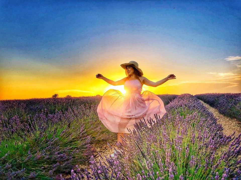 Photo of My Lavender Trail In France by Palak Doshi