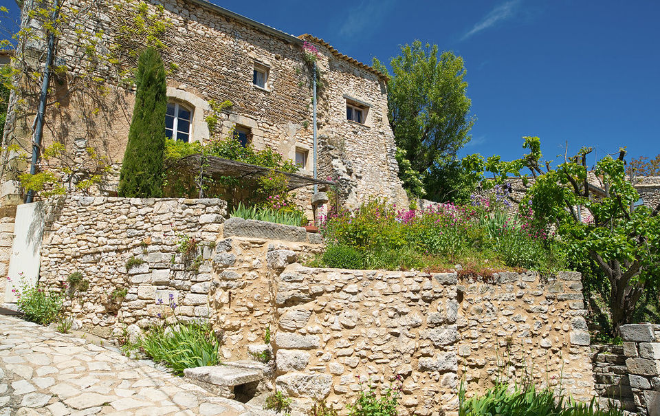 Photo of My Lavender Trail In France by Palak Doshi