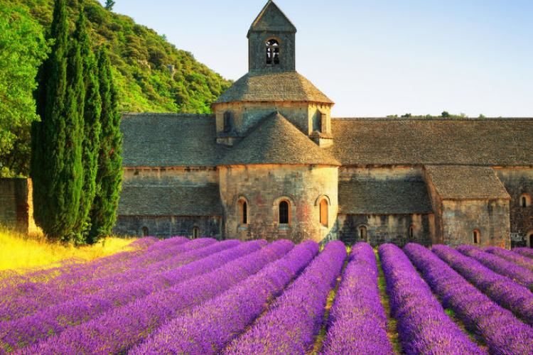 Photo of Provence-Alpes-Côte d'Azur, France by Palak Doshi