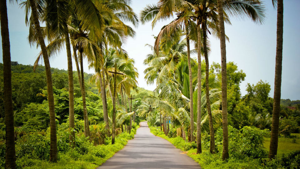 Photo of Goa, India by Palak Doshi