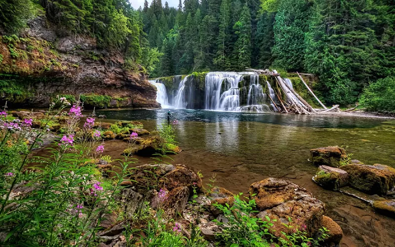 Photo of 7 Off-Beat Places to See the Most Romantic Drizzles in India by Palak Doshi