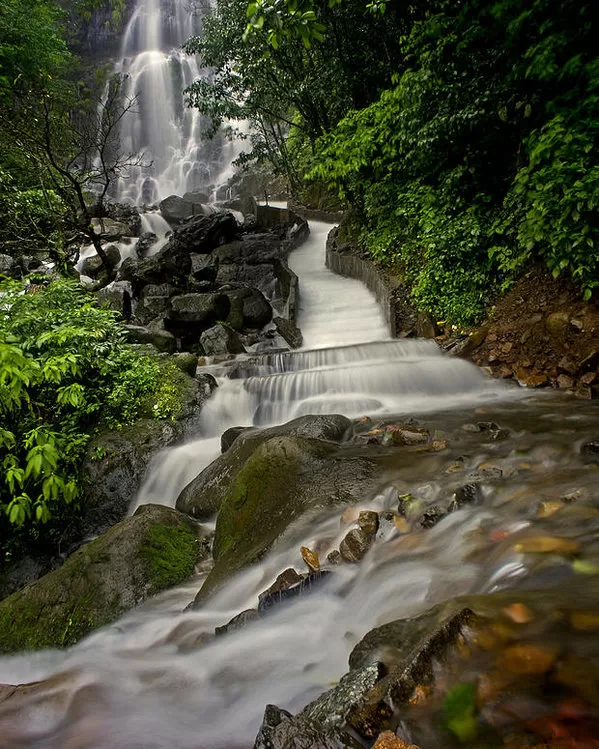 Photo of 7 Off-Beat Places to See the Most Romantic Drizzles in India by Palak Doshi