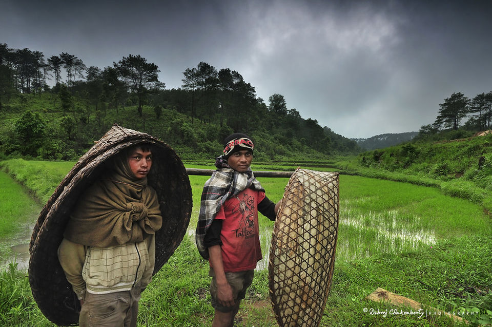 Photo of 7 Reasons Why I Think Meghalaya Is the Best Place in the World to Experience Monsoon Magic 16/27 by Palak Doshi