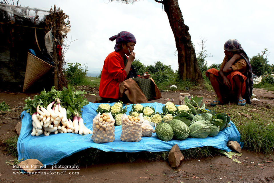 Photo of 7 Reasons Why I Think Meghalaya Is the Best Place in the World to Experience Monsoon Magic 19/27 by Palak Doshi