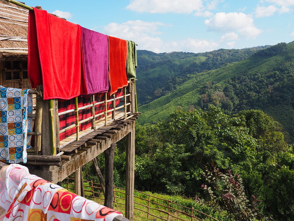 Photo of 7 Reasons Why I Think Meghalaya Is the Best Place in the World to Experience Monsoon Magic 27/27 by Palak Doshi