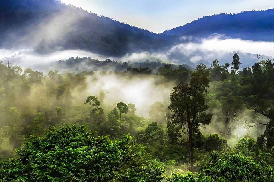 Photo of Kausani, Uttarakhand, India by Palak Doshi