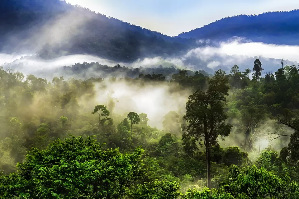 Photo of Kausani, Uttarakhand, India by Palak Doshi