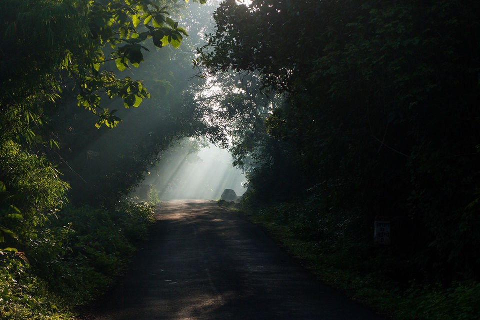 Photo of Panhala, Maharashtra, India by Palak Doshi
