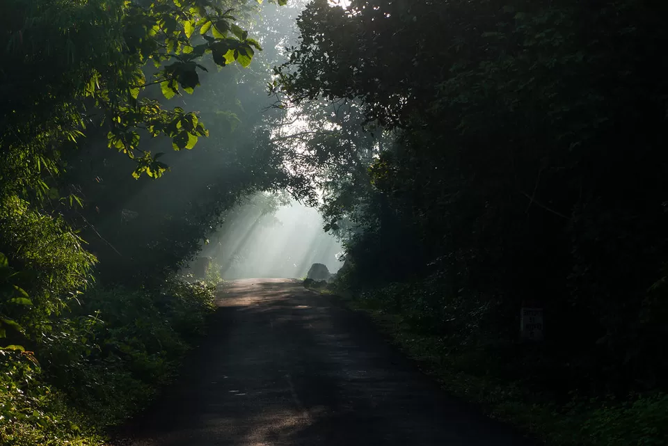 Photo of Panhala, Maharashtra, India by Palak Doshi