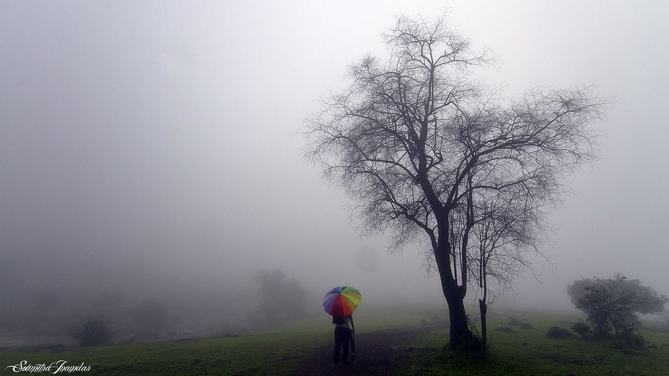 Photo of 7 Off-Beat Places to See the Most Romantic Drizzles in India by Palak Doshi