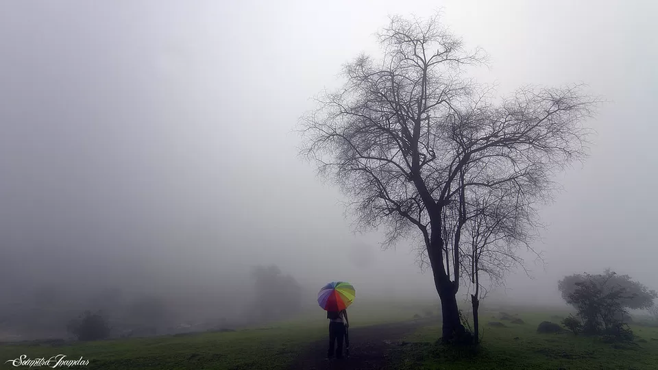 Photo of 7 Off-Beat Places to See the Most Romantic Drizzles in India by Palak Doshi