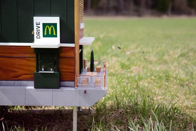 Photo of 7 Bizarre McDonalds Around The World, Lovin’ It Or Hatin’ It You Decide? by Palak Doshi