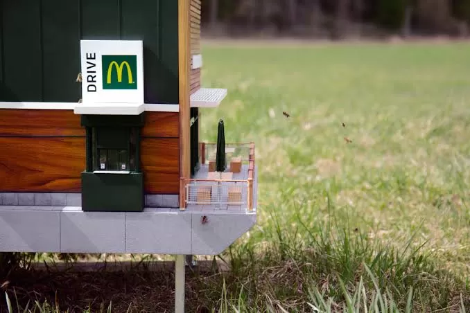 Photo of 7 Bizarre McDonalds Around The World, Lovin’ It Or Hatin’ It You Decide? by Palak Doshi