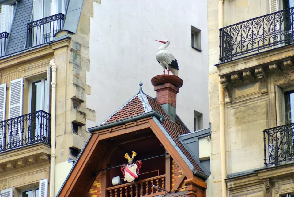 Photo of 7 Bizarre McDonalds Around The World, Lovin’ It Or Hatin’ It You Decide? by Palak Doshi