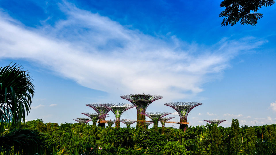 Photo of Marina Gardens Drive, Gardens by the Bay, Singapore by Shrikant B Sonawane