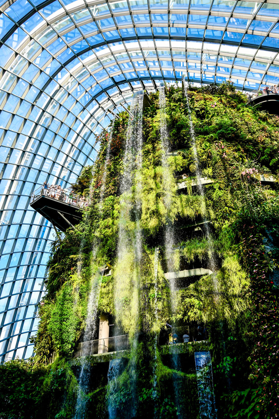 Photo of Marina Gardens Drive, Cloud Forest, Singapore by Shrikant B Sonawane