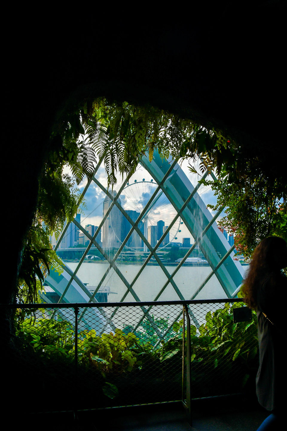 Photo of Marina Gardens Drive, Cloud Forest, Singapore by Shrikant B Sonawane