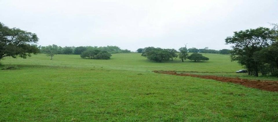 Photo of Sakleshpur, The Green Land by Neha Kumari