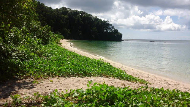 Photo of Corbyn's Cove Beach, Port Blair by Neha Kumari