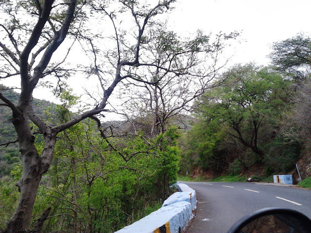 Photo of Drive from Bangalore To Yercaud by Neha Kumari