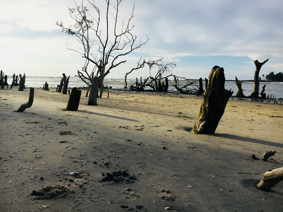 Photo of Kolavipalam Beach, Kottakkal, Iringal, Kerala, India by Dinshan Ahammed