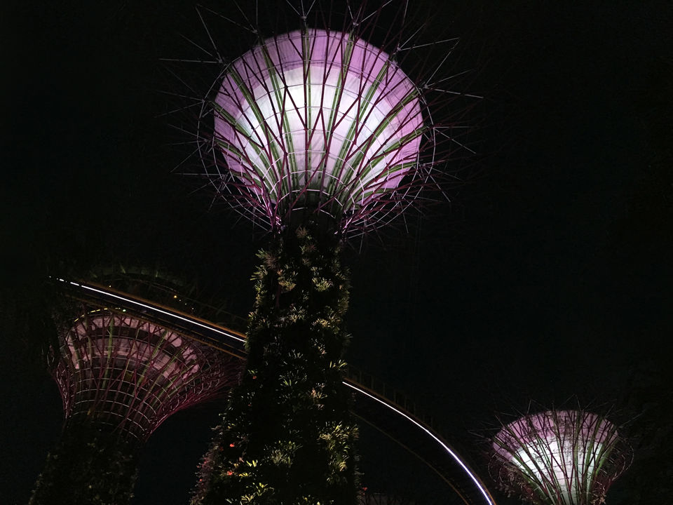 Photo of Gardens by the Bay, Singapore 4/4 by Village to Voyage