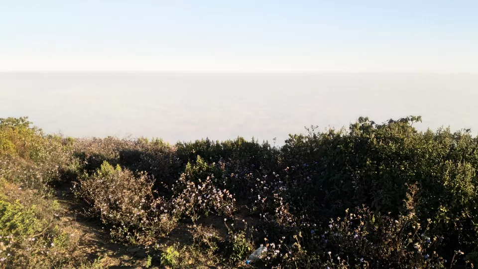 Photo of Parasnath #trekking #bestweekendgetaway from Kolkata | Hills of Jharkhand by Ashik Anand