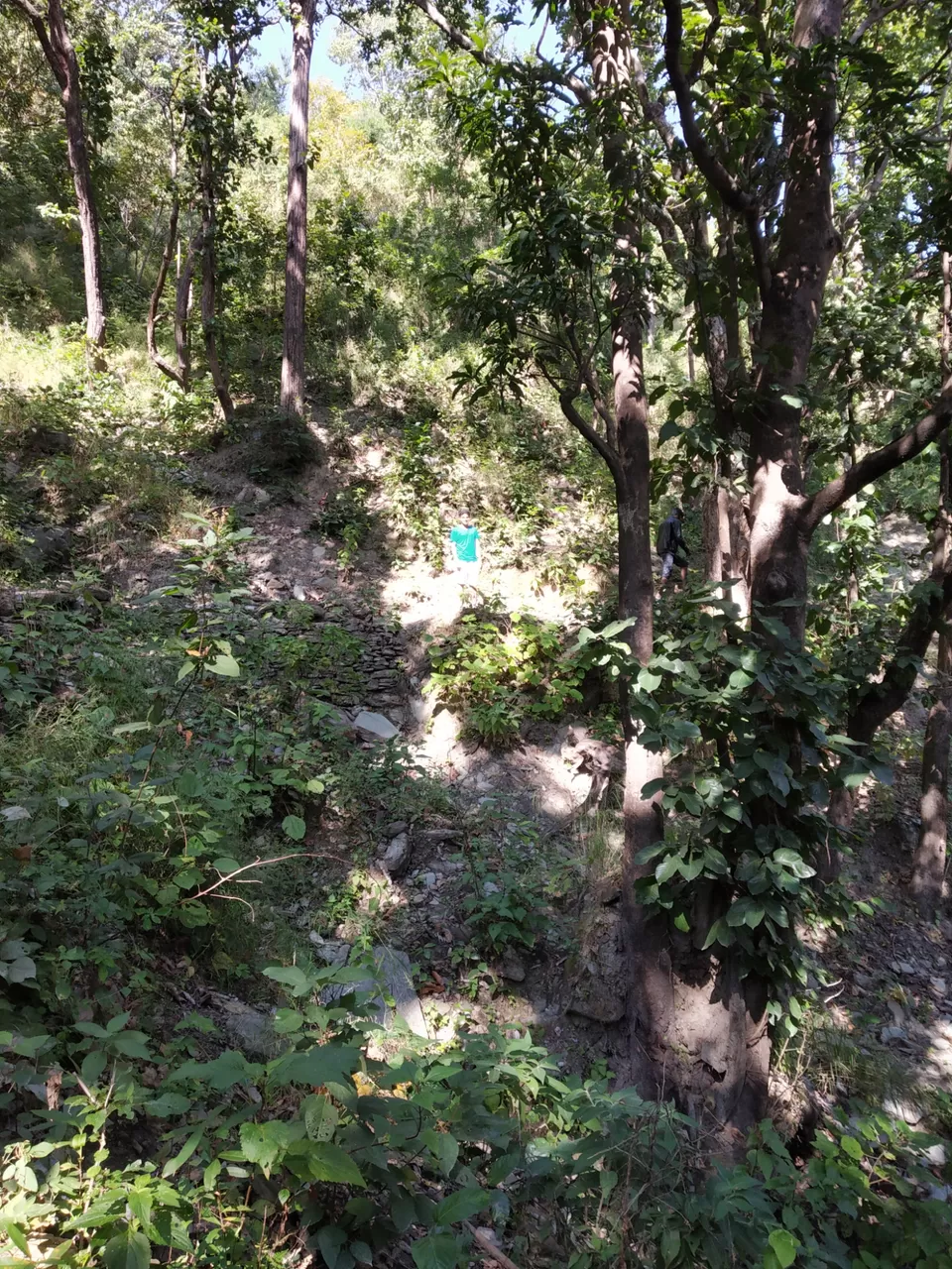 Photo of The Junkyard Camp, Jogiyana, Uttarakhand, India by Ashik Anand