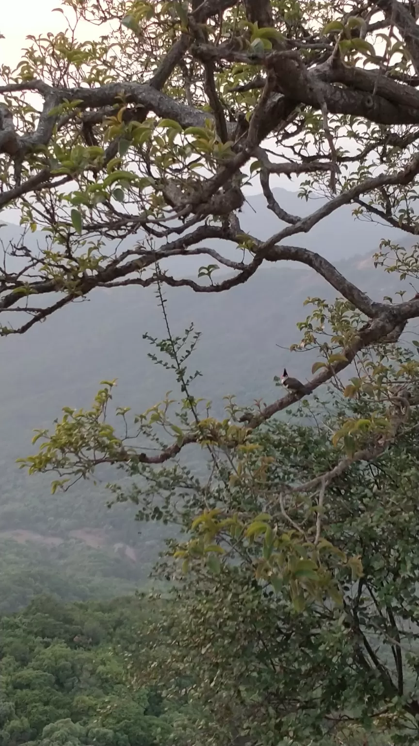 Photo of Wilson Point of Sunrise, Mahabaleshwar, Maharashtra, India by Komal Patel