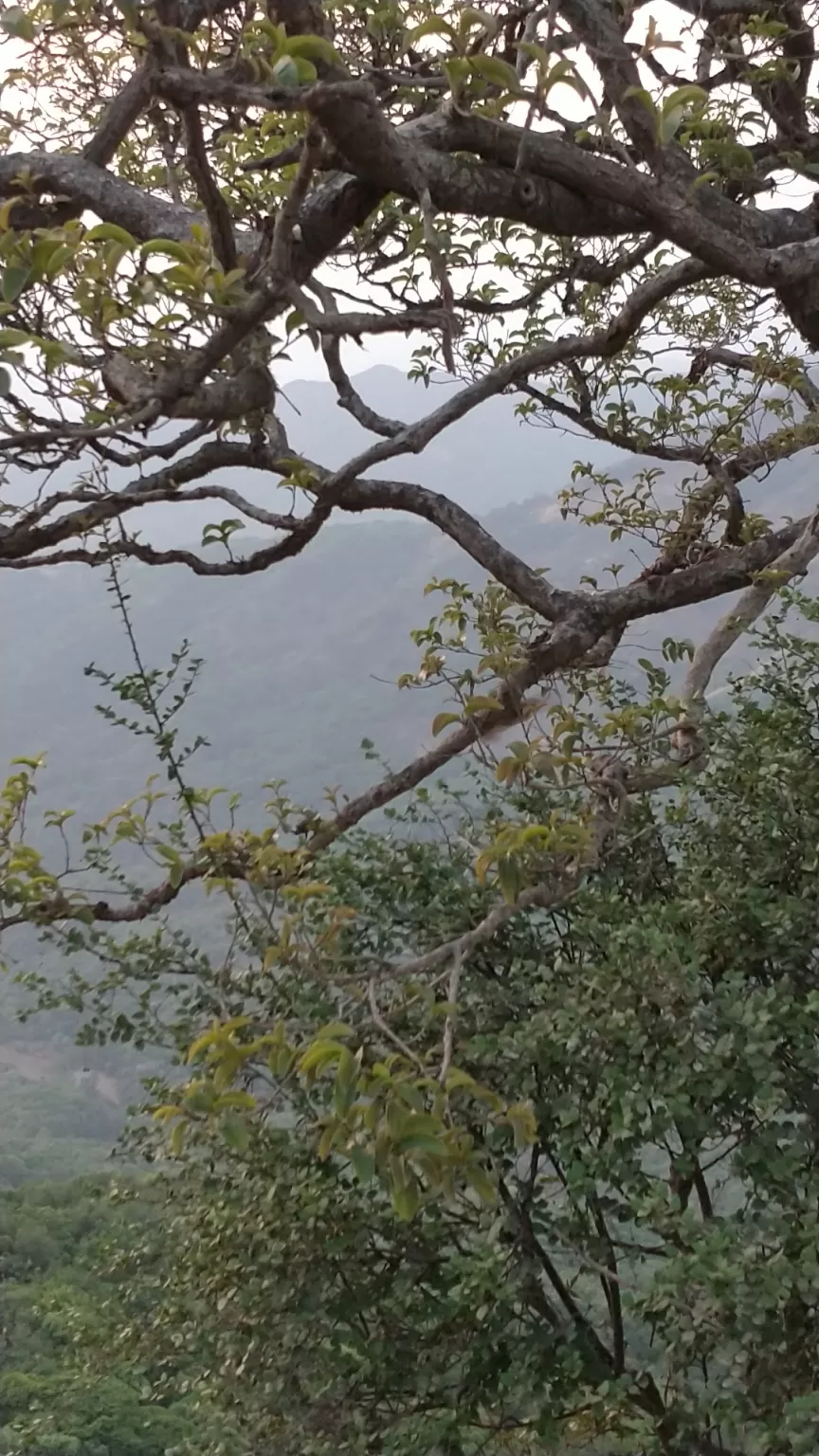 Photo of Wilson Point of Sunrise, Mahabaleshwar, Maharashtra, India by Komal Patel
