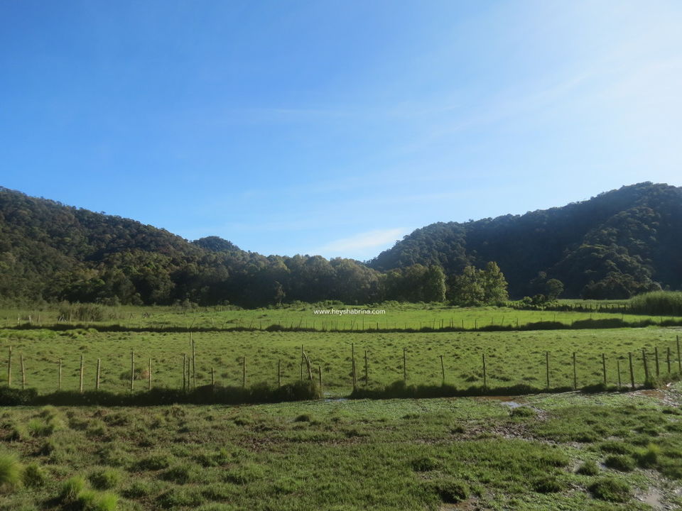 Photo of Camping at Ranca Upas and visit Kawah Putih 3/6 by Shabrina Koeswologito