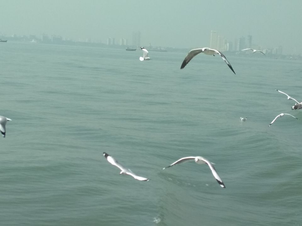 Photo of Weekend gateway from Mumbai in below Inr 5000 Alibag by Hetal
