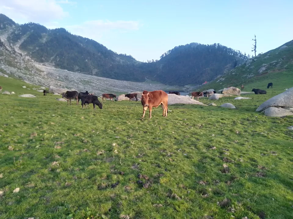 Photo of Kareri Lake, Kareri, Himachal Pradesh by Ajay K
