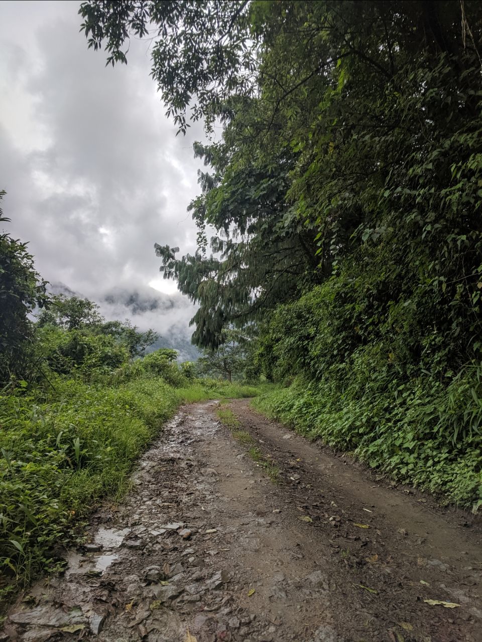 Photo of Dzukou valley trek in Nagaland by Rohith