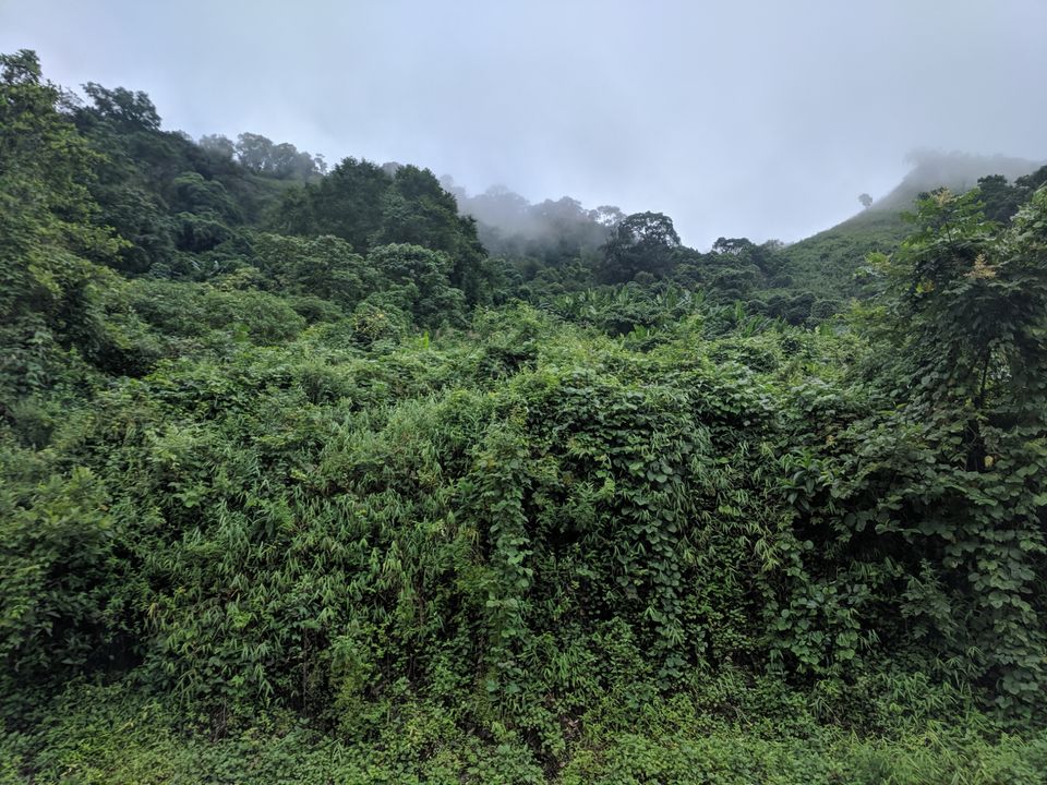 Photo of Dzukou valley trek in Nagaland by Rohith