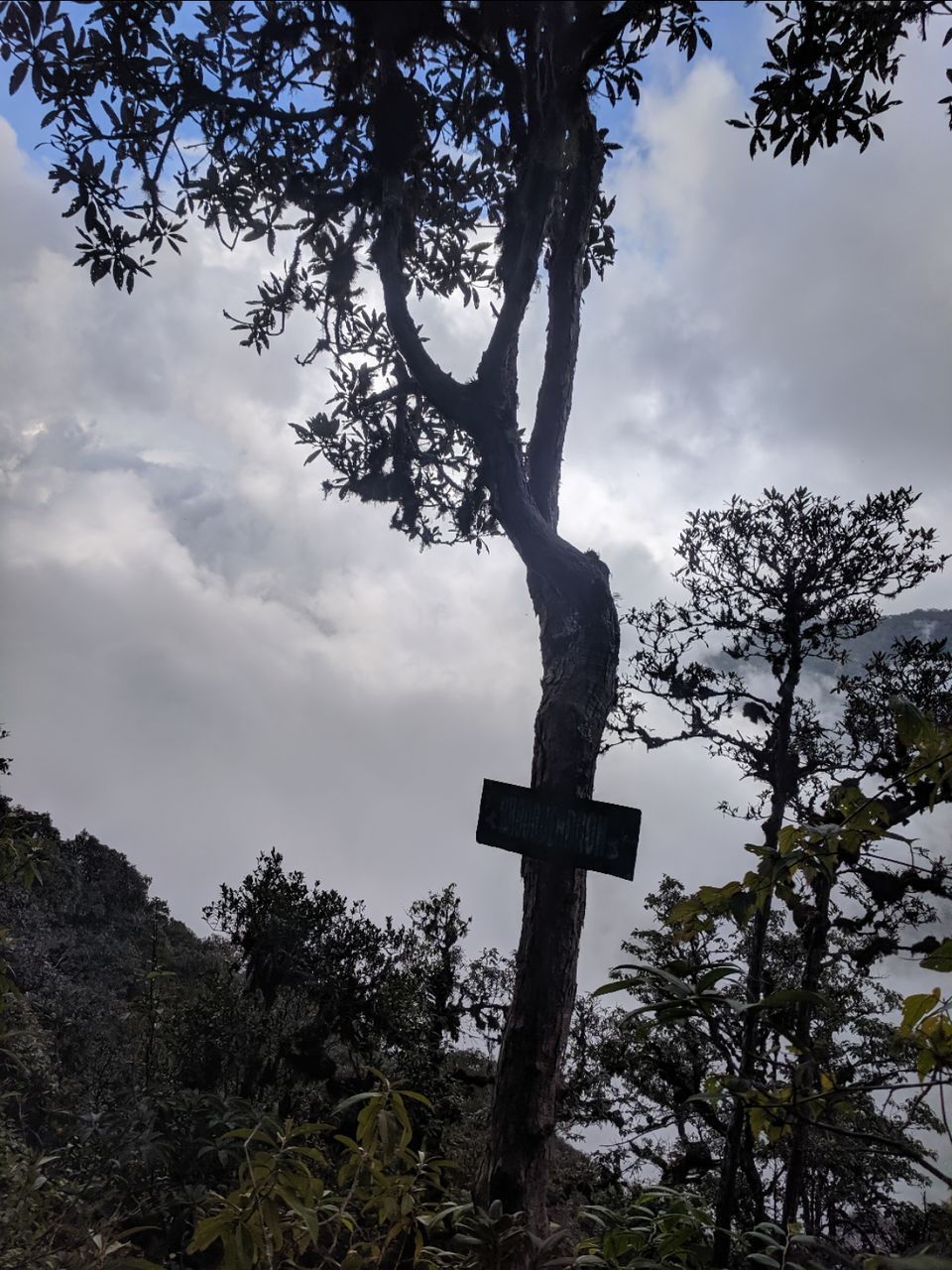 Photo of Dzukou valley trek in Nagaland by Rohith
