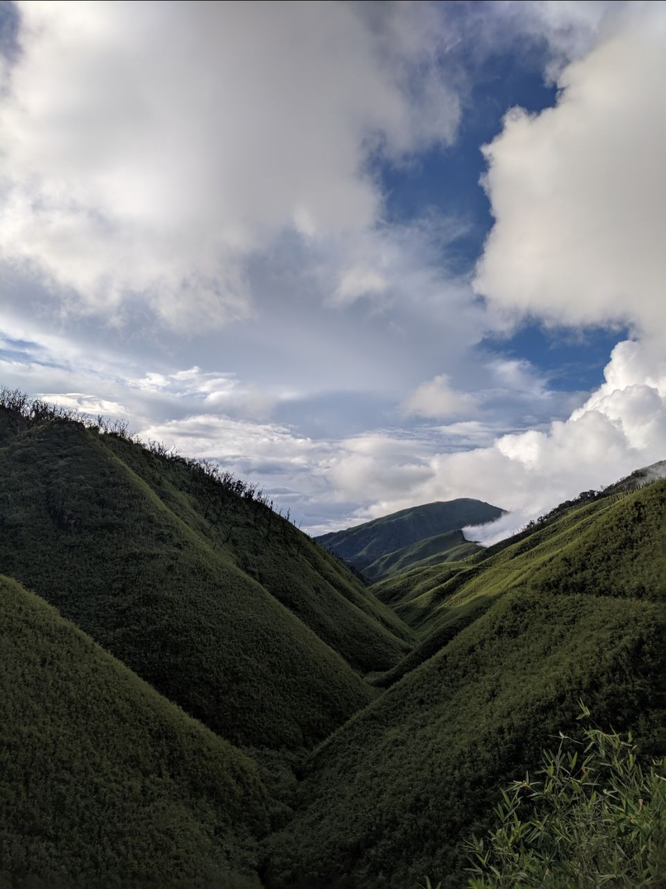 Photo of Dzukou valley trek in Nagaland by Rohith